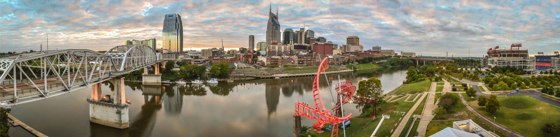 Nashville Skyline